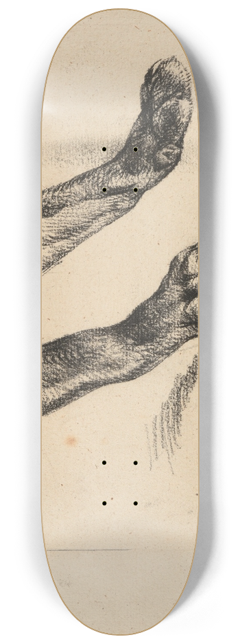 Jacques-Raymond Brascassat - tude de pattes de renard 8.25 inch art skate deck