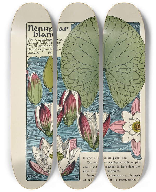 Triptych art skateboard deck of Maurice Pillard Verneuil Nenuphar Blanc by Maurice Pillard Verneuil (1869-1942)