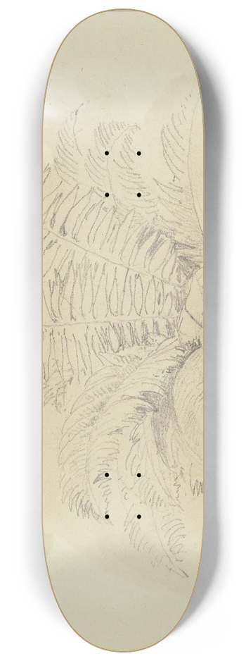 Jakob Becker - Ferns 8.25 inch art skate deck