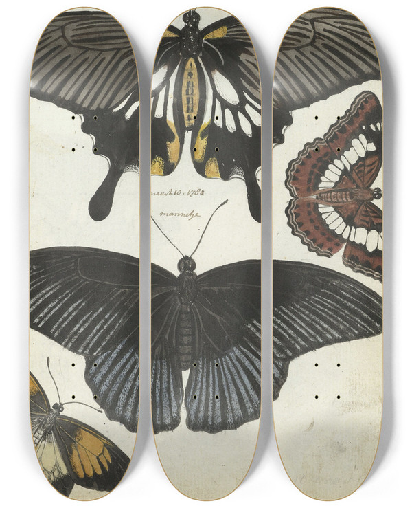 Triptych art skateboard deck of Jan Brandes Indische Vlinders by Jan Brandes (1743-1808)