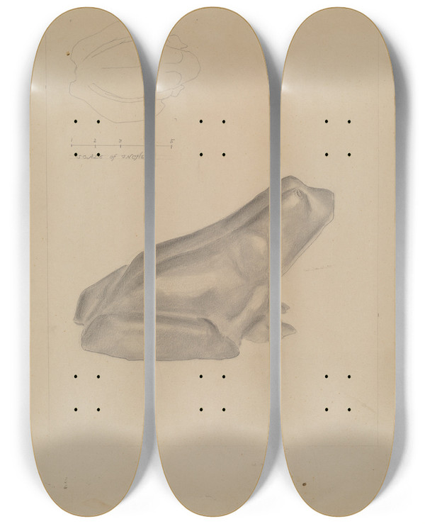 Triptych art skateboard deck of Donald Streeter Frog Door Stop by Donald Streeter