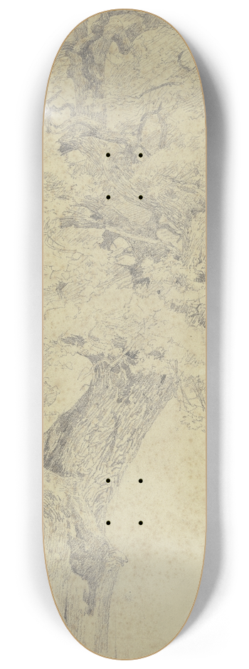 Jakob Becker - Tree 8.25 inch art skate deck