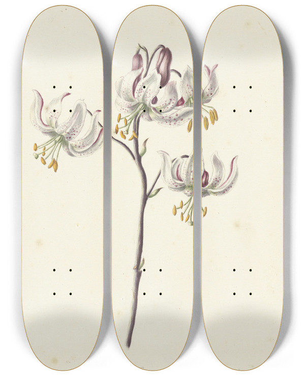 Triptych art skateboard deck of Catharina Lintheimer Takje Met Vier Witte Lelies by Catharina Lintheimer (1714-1741)