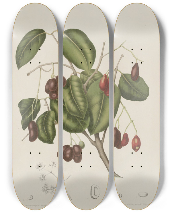 Triptych art skateboard deck of Berthe Hoola Van Nooten Fleurs Fruits Et Feuillages Choisis De Lille De Java Pl32 by Berthe Hoola Van Nooten (1817-1892)