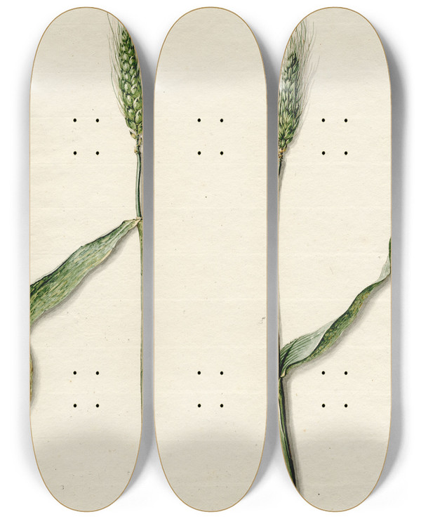 Triptych art skateboard deck of Barend Hendrik Thier Tarwe by Barend Hendrik Thier (1751-1814)