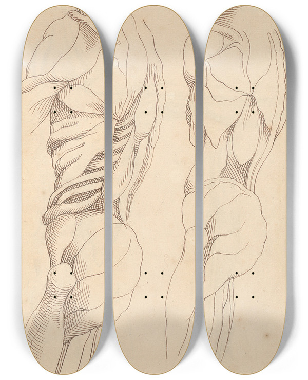 Triptych art skateboard deck of Hamlet Winstanley Anatomical Studies Of A Body by Hamlet Winstanley (1698-1756)