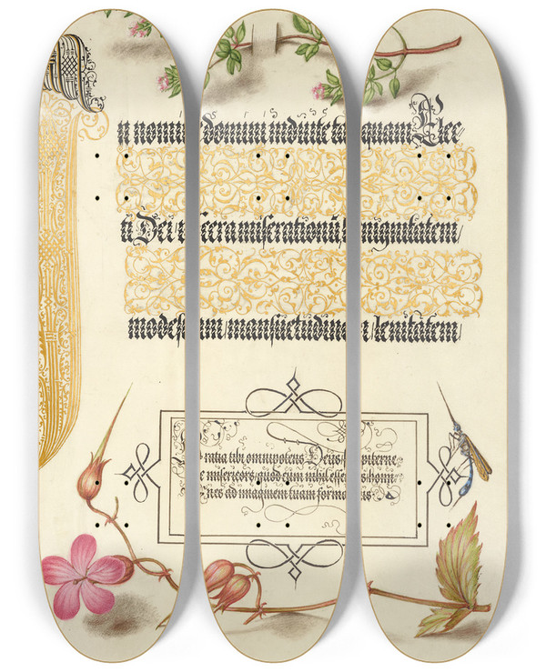 Triptych art skateboard deck of Joris Hoefnagel Basil Thyme Insect And Herb Robert by Joris Hoefnagel (1542-1600)