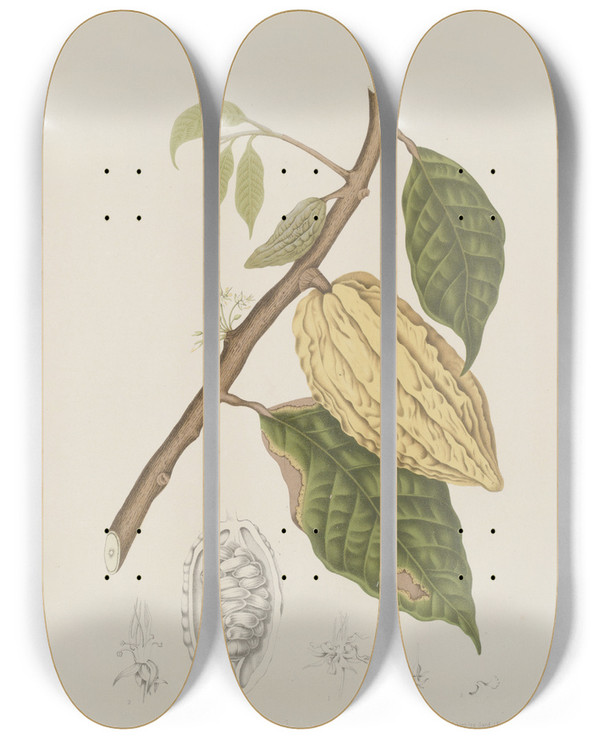 Triptych art skateboard deck of Berthe Hoola Van Nooten Fleurs Fruits Et Feuillages Choisis De Lille De Java Pl35 by Berthe Hoola Van Nooten (1817-1892)