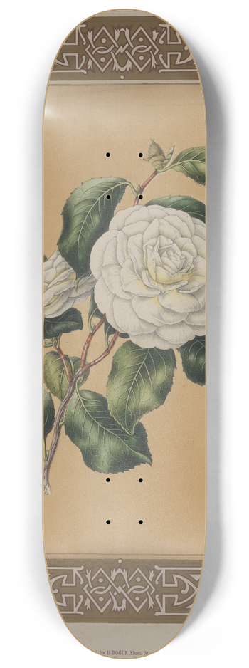 James Andrews - The Camellia 8.25 inch art skate deck