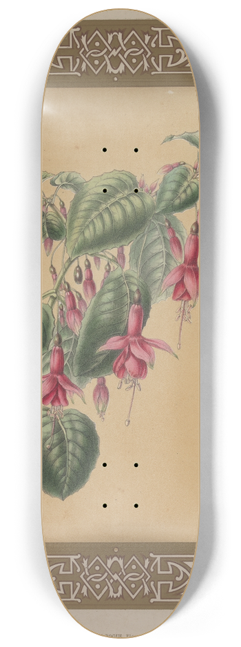 James Andrews - The Fuchsia 8.25 inch art skate deck