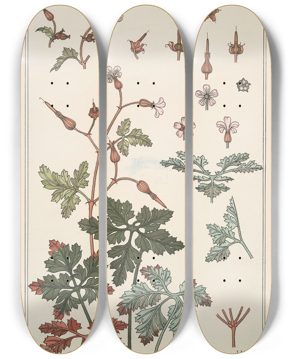 Triptych art skateboard deck of Maurice Pillard Verneuil Geranium Sauvage by Maurice Pillard Verneuil (1869-1942)