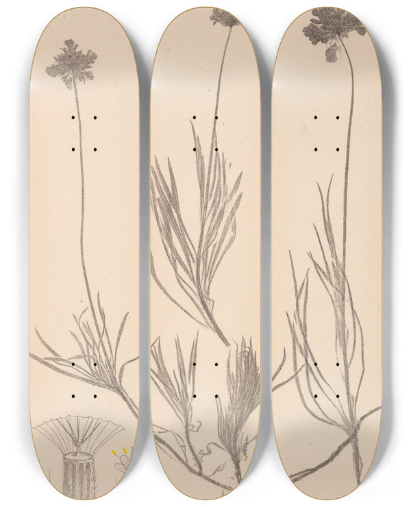 Triptych art skateboard deck of Louis Antoine Cusin Herbier De La Flore Franaise Pl0726 by Louis Antoine Cusin (1824-1901)
