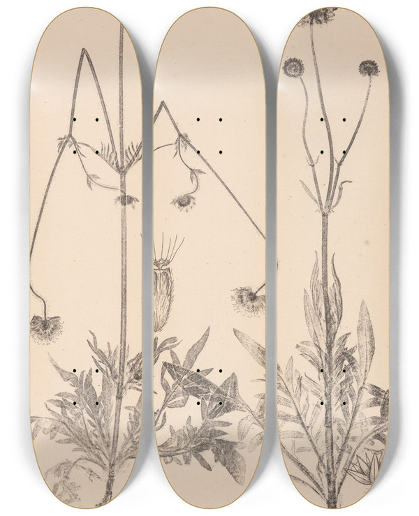 Triptych art skateboard deck of Louis Antoine Cusin Herbier De La Flore Franaise Pl0724 by Louis Antoine Cusin (1824-1901)