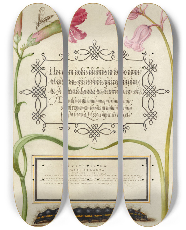 Triptych art skateboard deck of Joris Hoefnagel Imaginary Insect Carnation Bluebell And Saturnid Caterpillar by Joris Hoefnagel (1542-1600)