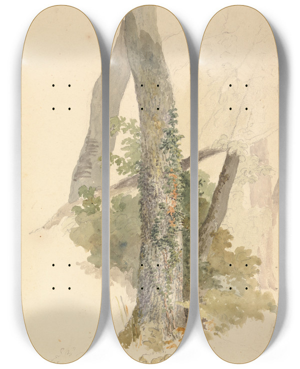 Triptych art skateboard deck of Robert Hills Tree Study With Ivy Clinging To Stump by Robert Hills (1769-1844)