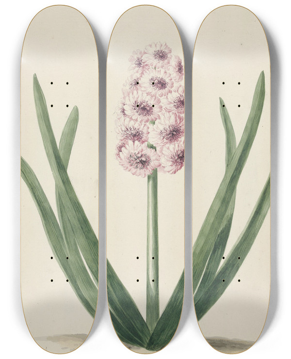 Triptych art skateboard deck of Pieter Van Loo Hyacint Genaamd Surpasse Mine Dor by Pieter Van Loo (1731-1784)