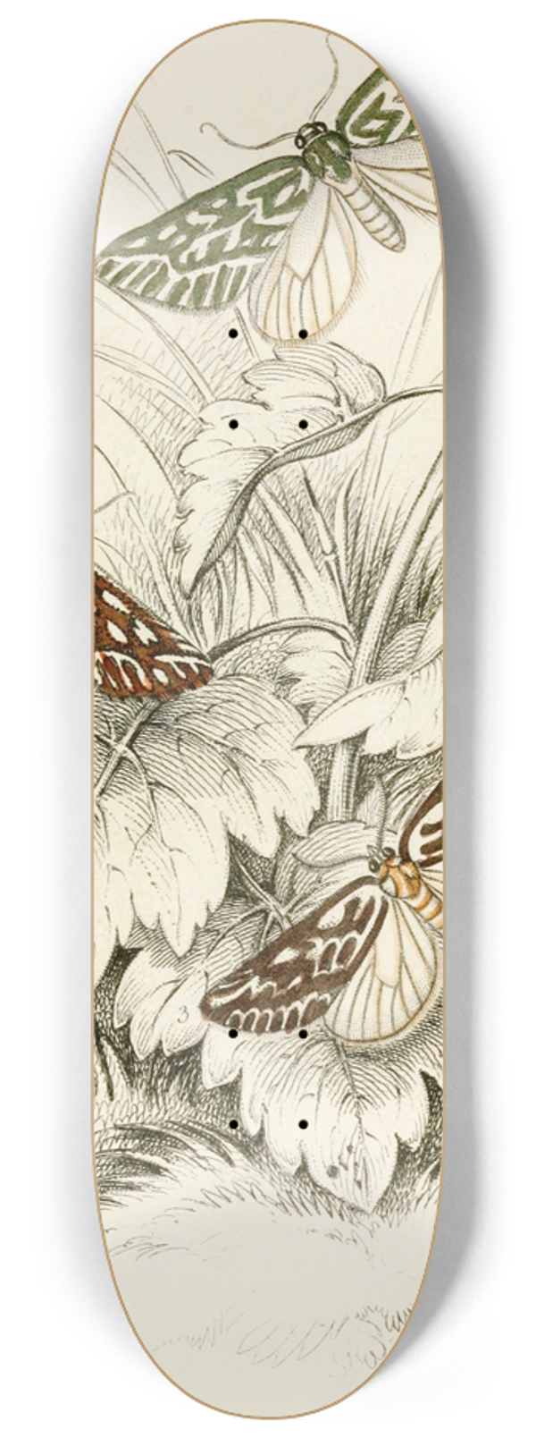 James Duncan - Dichroma equestralis, Dichroma histrionalis, Dichroma arcualis 8.25 inch art skate deck