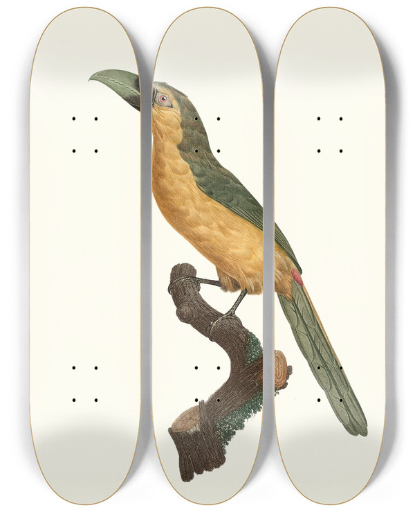 Triptych art skateboard deck of Jacques Barraband Laracari Baillon by Jacques Barraband (1767-1809)