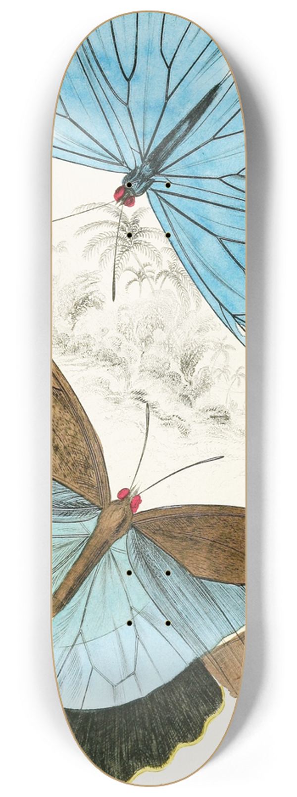 James Duncan - Morpho Adonis,Pavonia Teucer 8.25 inch art skate deck