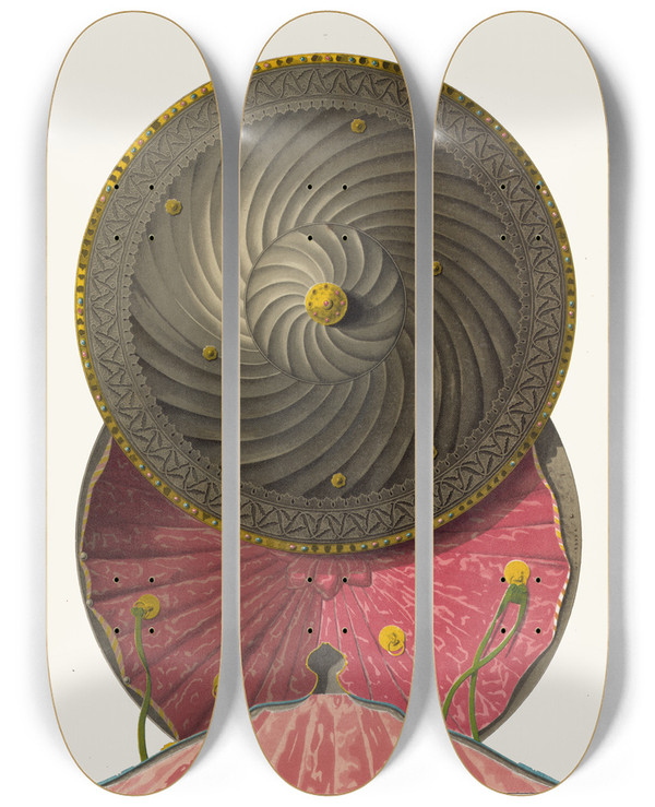 Triptych art skateboard deck of Fedor Grigoryevich Solntsev Bulatnyi Shchit by Fedor Grigoryevich Solntsev (1801-1892)