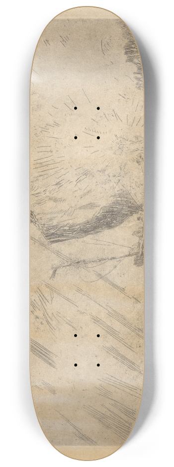 James Ensor - Christ calming the tempest 8.25 inch art skate deck