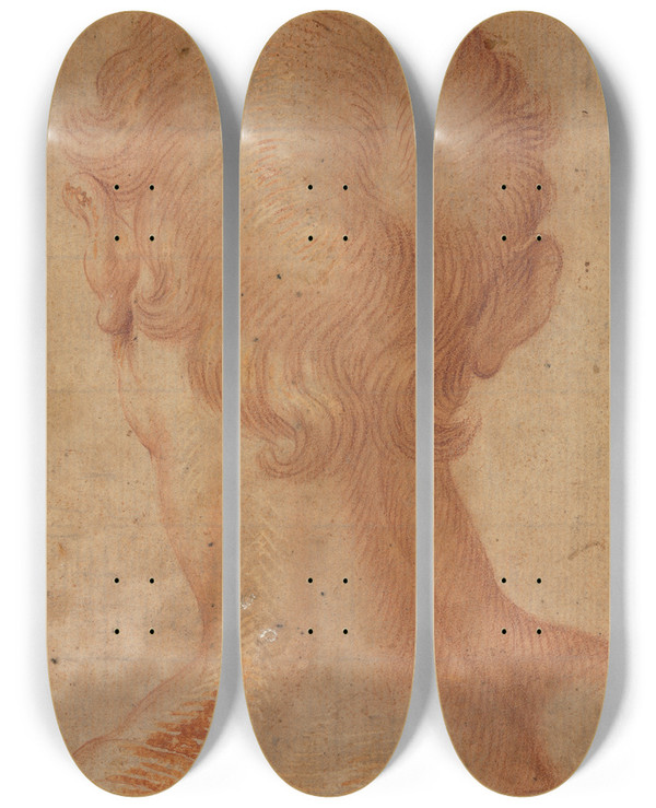 Triptych art skateboard deck of Agnolo Bronzino Mans Head From The Back by Agnolo Bronzino (1503-1572)