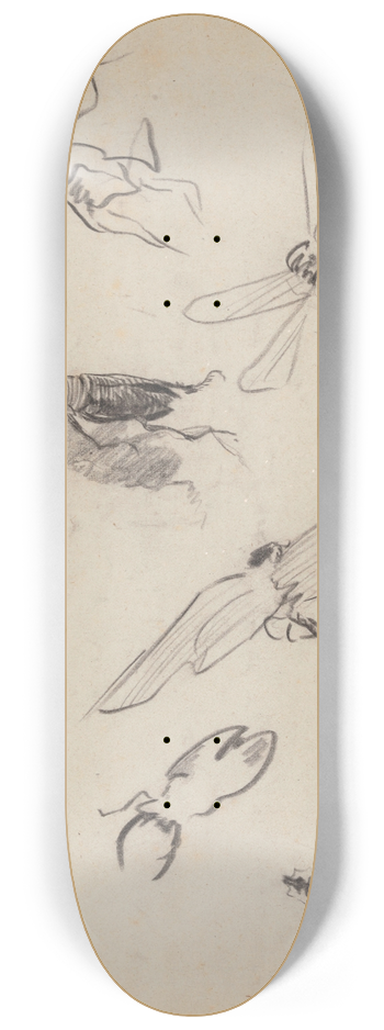 James Ensor - Insects 8.25 inch art skate deck