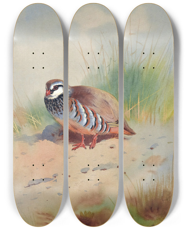 Triptych art skateboard deck of Archibald Thorburn Redlegged Partridge by Archibald Thorburn (1860-1935)