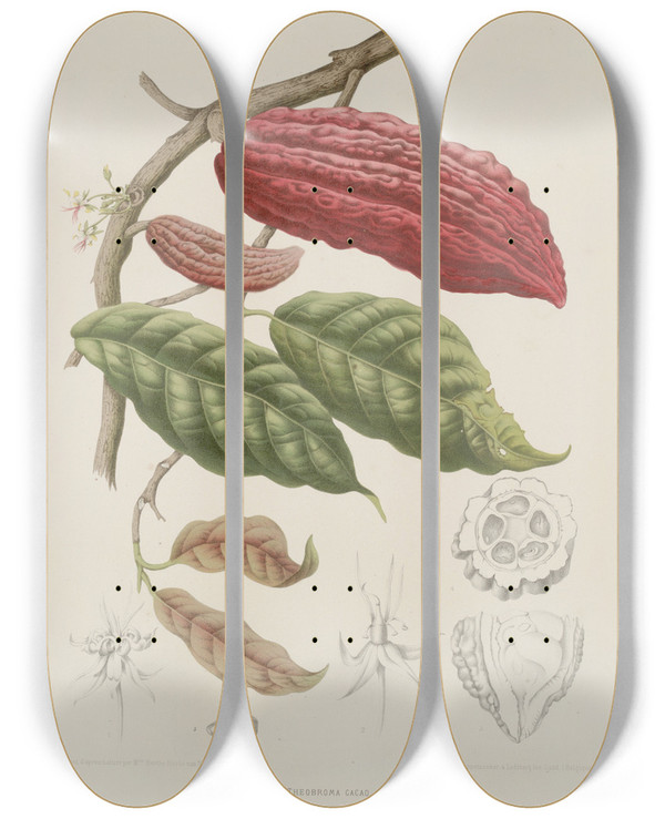 Triptych art skateboard deck of Berthe Hoola Van Nooten Fleurs Fruits Et Feuillages Choisis De Lille De Java Pl04 by Berthe Hoola Van Nooten (1817-1892)