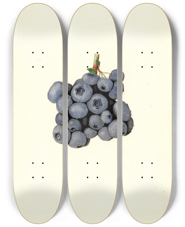 Triptych art skateboard deck of James Marion Shull Vaccinium Corymbosum Stanley by James Marion Shull (1872-1948)