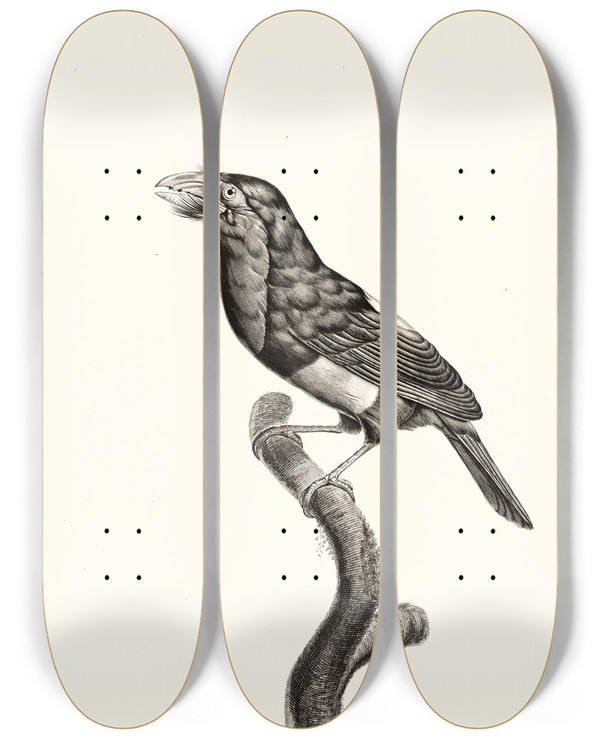 Triptych art skateboard deck of Jacques Barraband Le Barbican by Jacques Barraband (1767-1809)