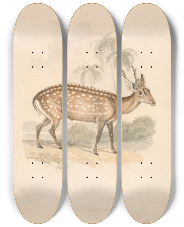 Triptych art skateboard deck of Samuel Howitt Hog Deer by Samuel Howitt (1756-1822)