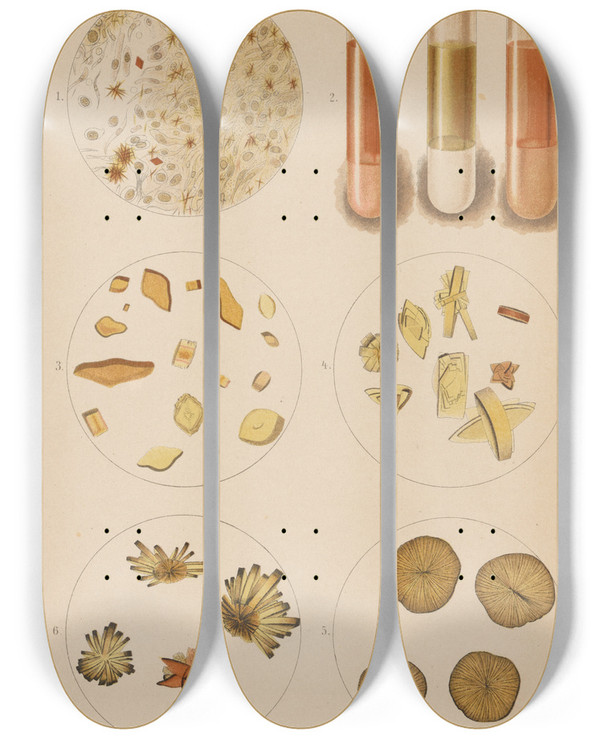 Triptych art skateboard deck of Hermann Rieder Uric Acid Crystals by Hermann Rieder