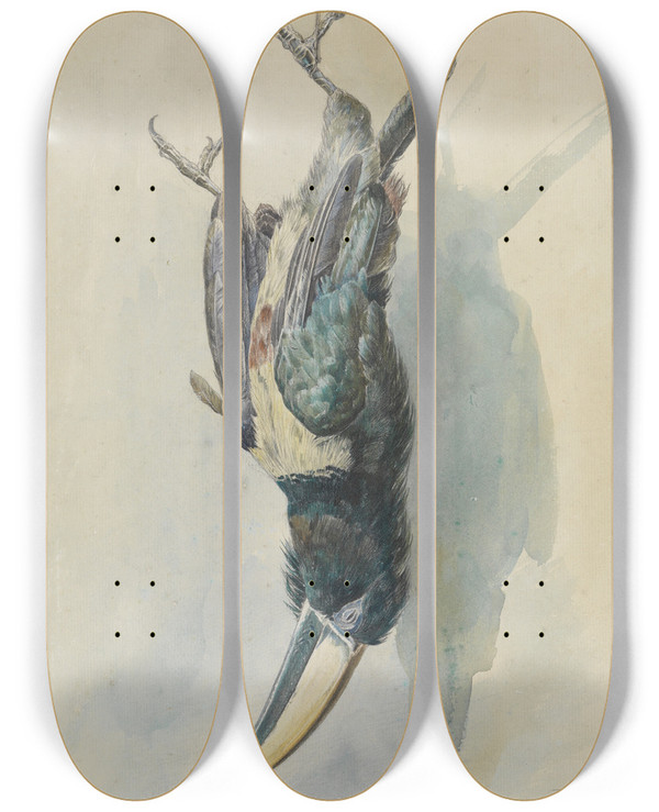 Triptych art skateboard deck of Ferdinand Keller Studie Eines Tukans Pfefferfresser by Ferdinand Keller (1842-1922)