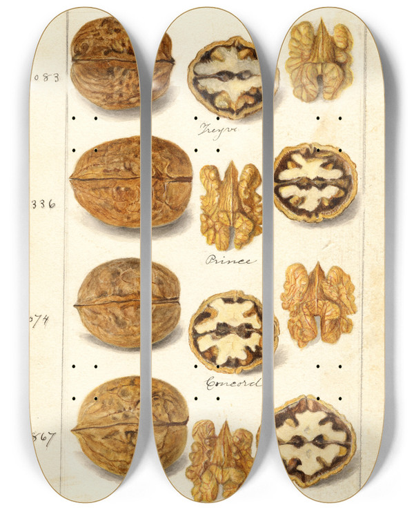 Triptych art skateboard deck of Amanda Almira Newton Juglans_3 by Amanda Almira Newton (1860-1943)