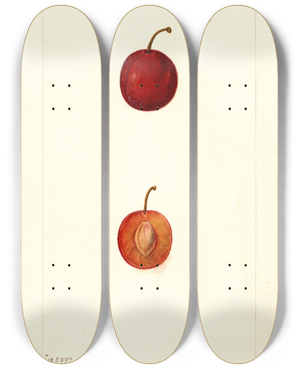 Triptych art skateboard deck of Deborah Griscom Passmore Prunus Domestica Warren by Deborah Griscom Passmore (1840-1911)