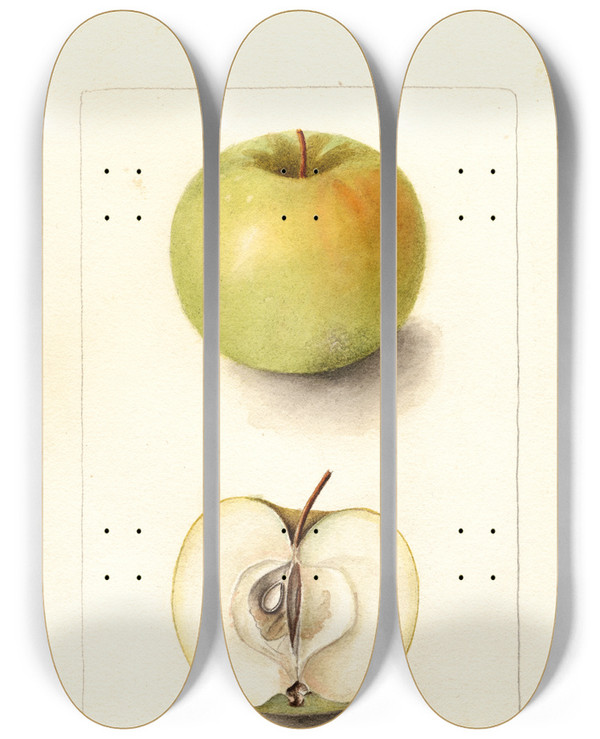 Triptych art skateboard deck of Deborah Griscom Passmore Malus Domestica Spohr by Deborah Griscom Passmore (1840-1911)