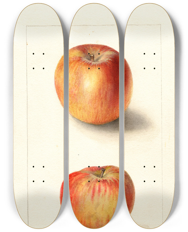 Triptych art skateboard deck of Deborah Griscom Passmore Malus Domestica Winesap by Deborah Griscom Passmore (1840-1911)