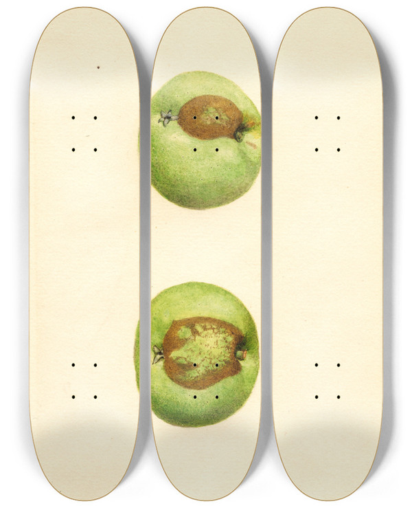Triptych art skateboard deck of James Marion Shull Malus Domestica Grimes by James Marion Shull (1872-1948)