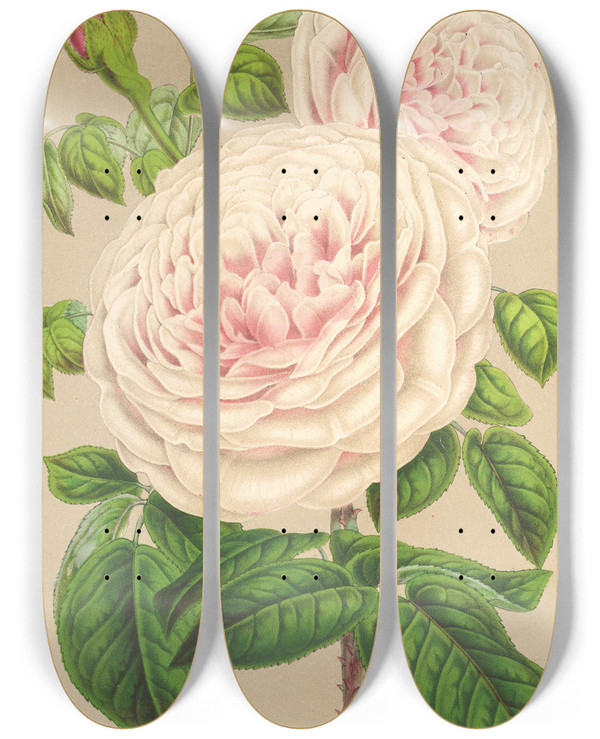 Triptych art skateboard deck of Charles Antoine Lemaire Rose Sur Des Anges by Charles Antoine Lemaire (1800-1871)
