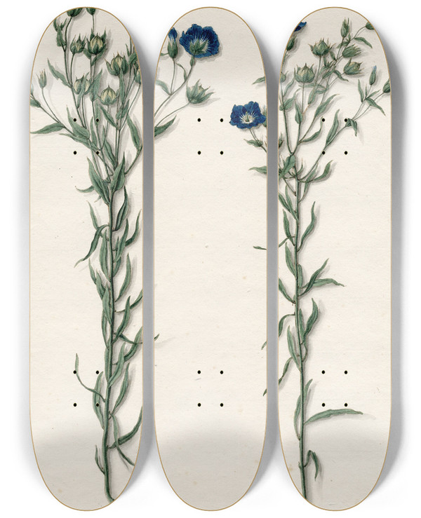 Triptych art skateboard deck of Barend Hendrik Thier Vlas by Barend Hendrik Thier (1751-1814)