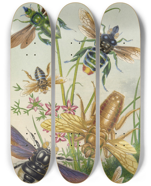 Triptych art skateboard deck of Barret And Sons Bees And Their Conterfeits by Barret And Sons (19-)