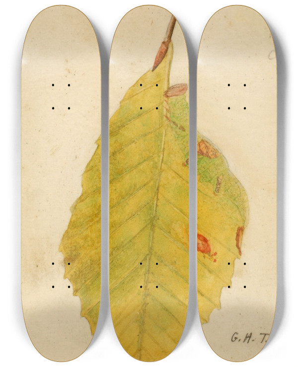 Triptych art skateboard deck of Emma Beach Thayer Crumpled And Withered Leaf Edge Mimicking Caterpillar_1 by Emma Beach Thayer (1849-1924)