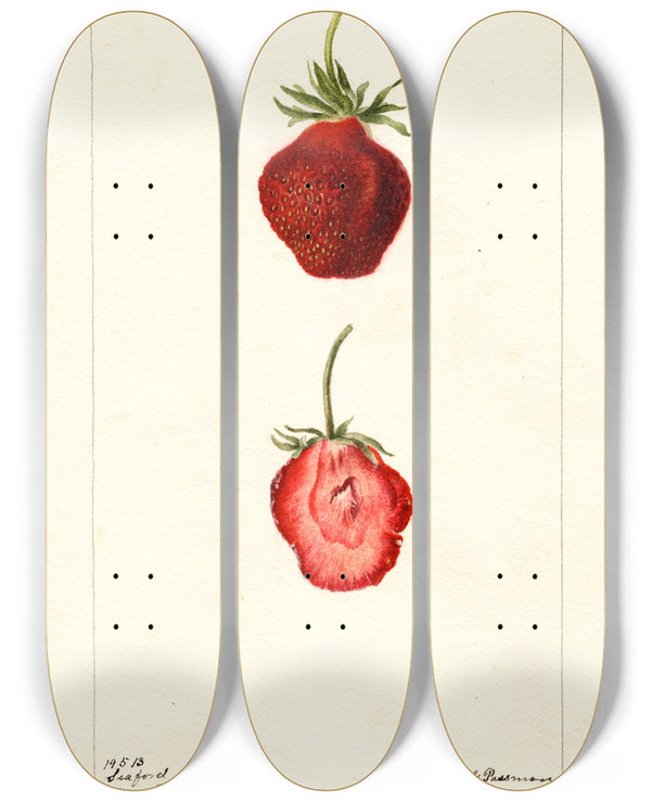 Triptych art skateboard deck of Deborah Griscom Passmore Fragaria Seaford by Deborah Griscom Passmore (1840-1911)