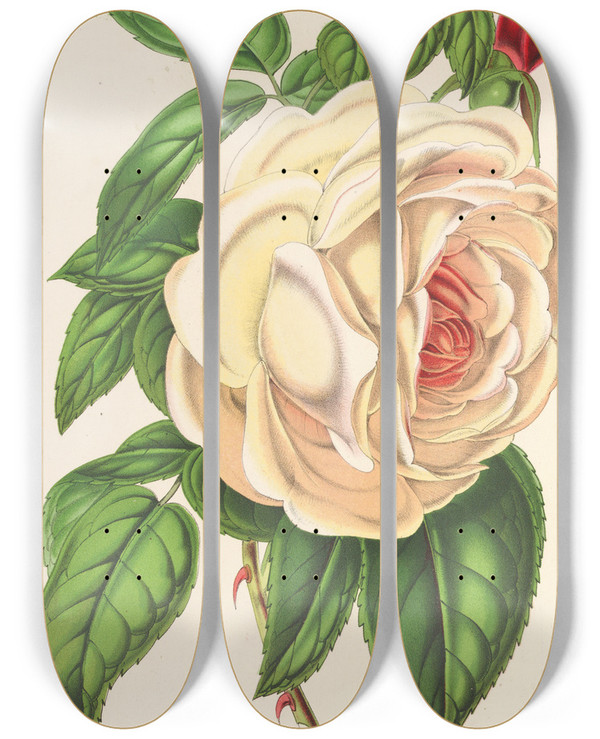 Triptych art skateboard deck of Charles Antoine Lemaire Rose Prsident Th by Charles Antoine Lemaire (1800-1871)
