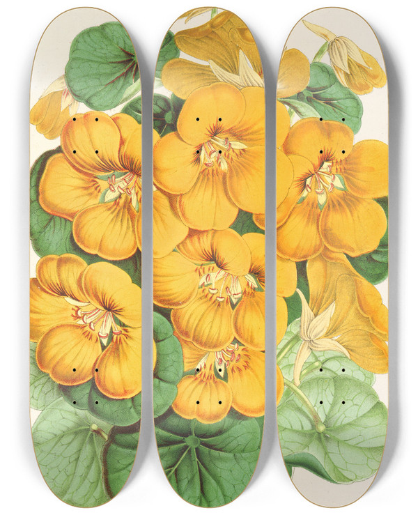 Triptych art skateboard deck of Charles Antoine Lemaire Capucine Tom Pouce by Charles Antoine Lemaire (1800-1871)