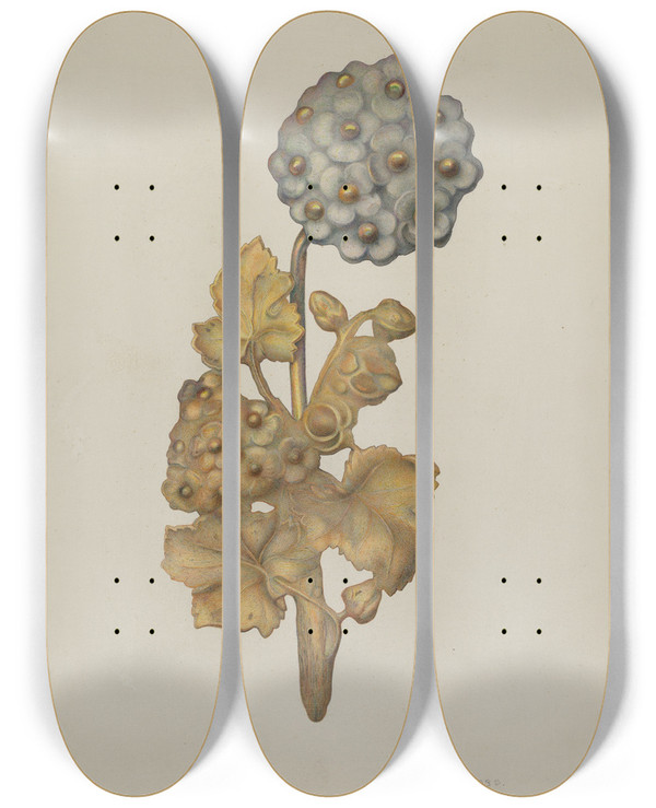 Triptych art skateboard deck of Harry Jennings Tieback_2 by Harry Jennings