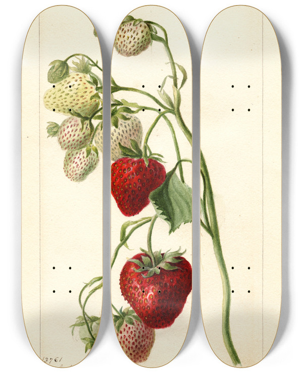 Triptych art skateboard deck of Deborah Griscom Passmore Fragaria Timbrell by Deborah Griscom Passmore (1840-1911)