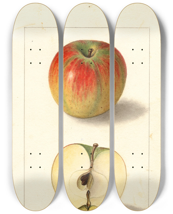 Triptych art skateboard deck of Ellen Isham Schutt Malus Domestica Texala by Ellen Isham Schutt (1873-1955)