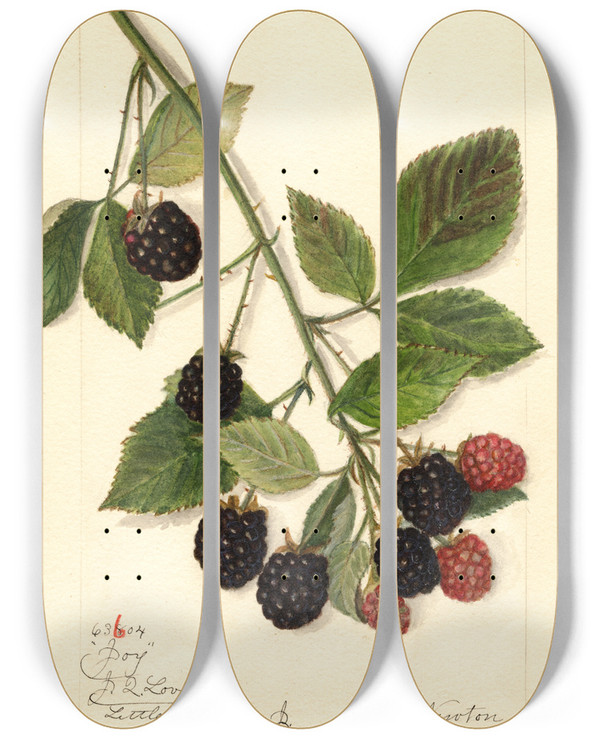 Triptych art skateboard deck of Amanda Almira Newton Rubus Joy by Amanda Almira Newton (1860-1943)